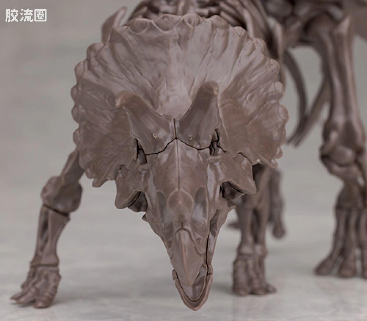 万代综合拼装模型系列 Imaginary Skeleton系列 三角龙 - 图片